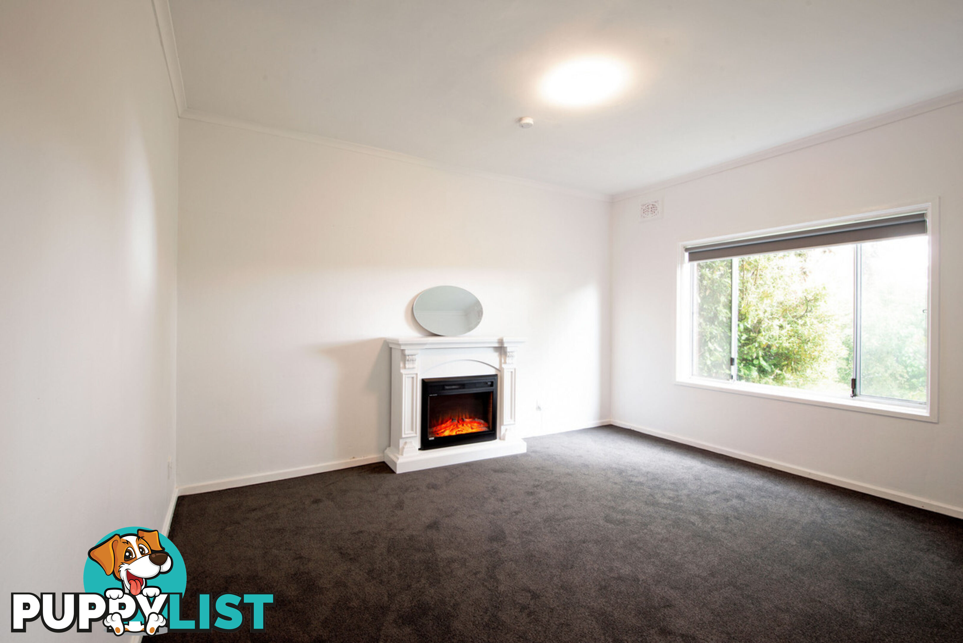 6 Ebden Street AINSLIE ACT 2602
