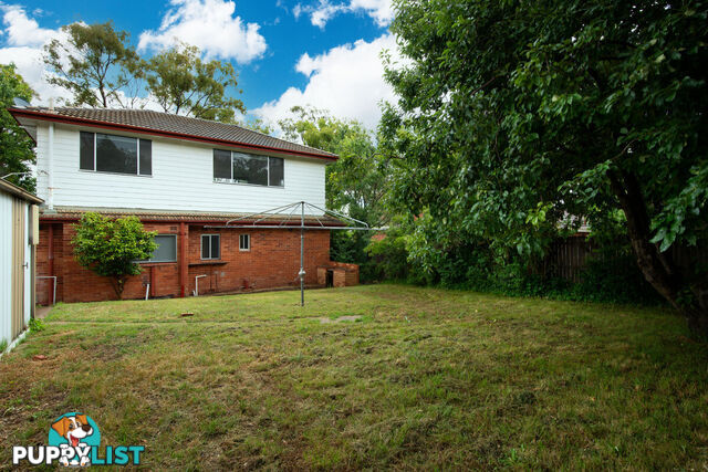 6 Ebden Street AINSLIE ACT 2602