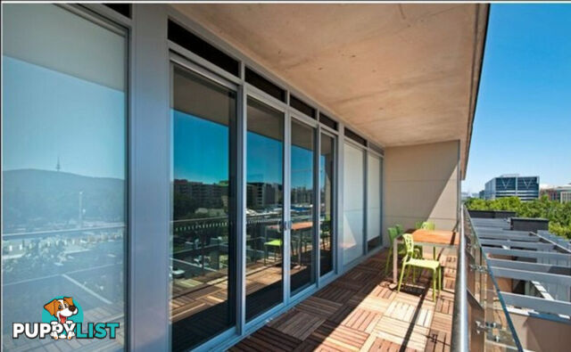 303/24 Lonsdale Street BRADDON ACT 2612