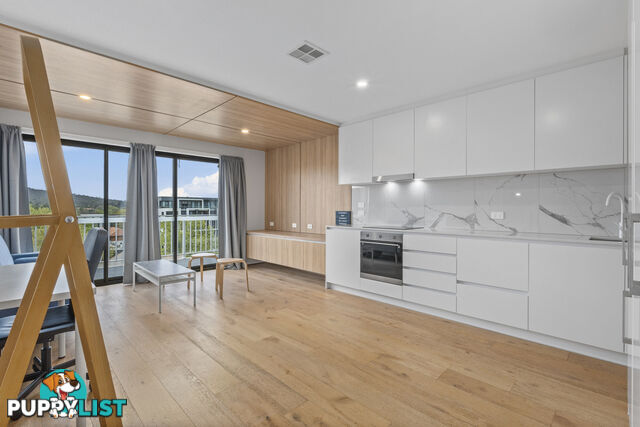 509/32 Mort Street BRADDON ACT 2612