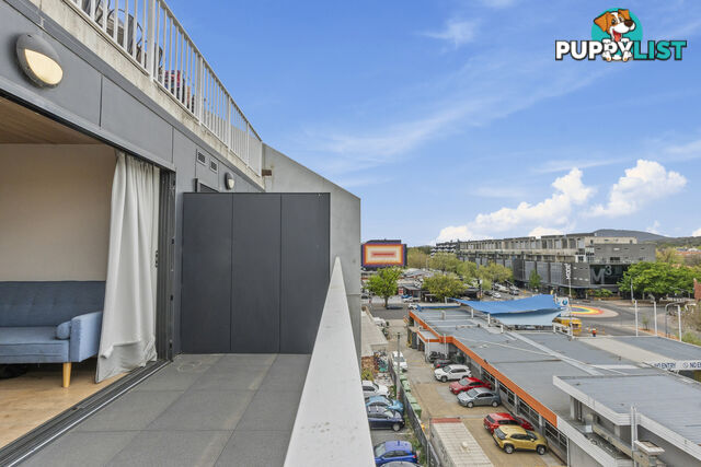 509/32 Mort Street BRADDON ACT 2612