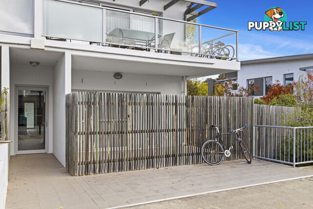 88/329 Flemington Road FRANKLIN ACT 2913