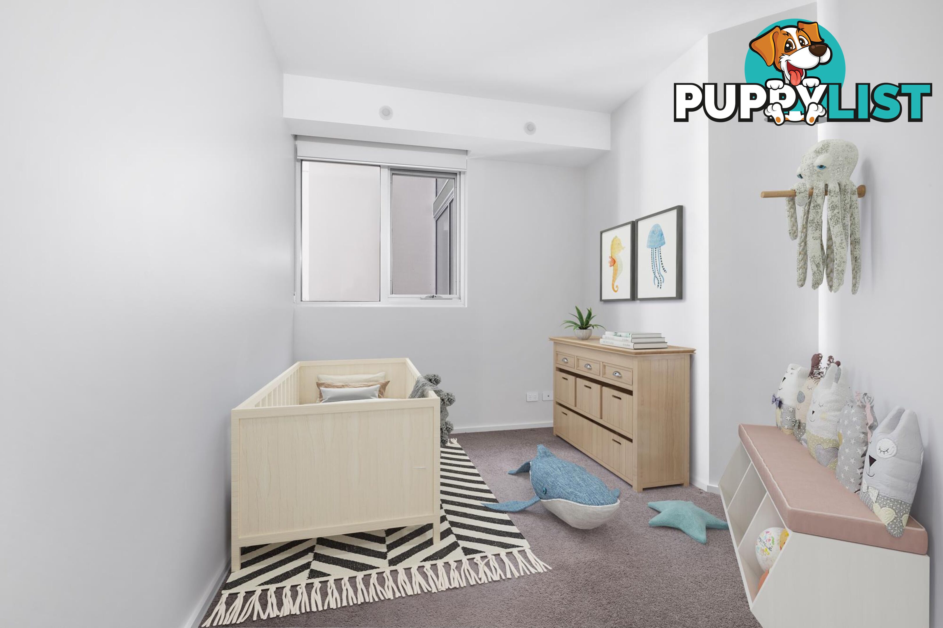 313/100 Swain Street GUNGAHLIN ACT 2912