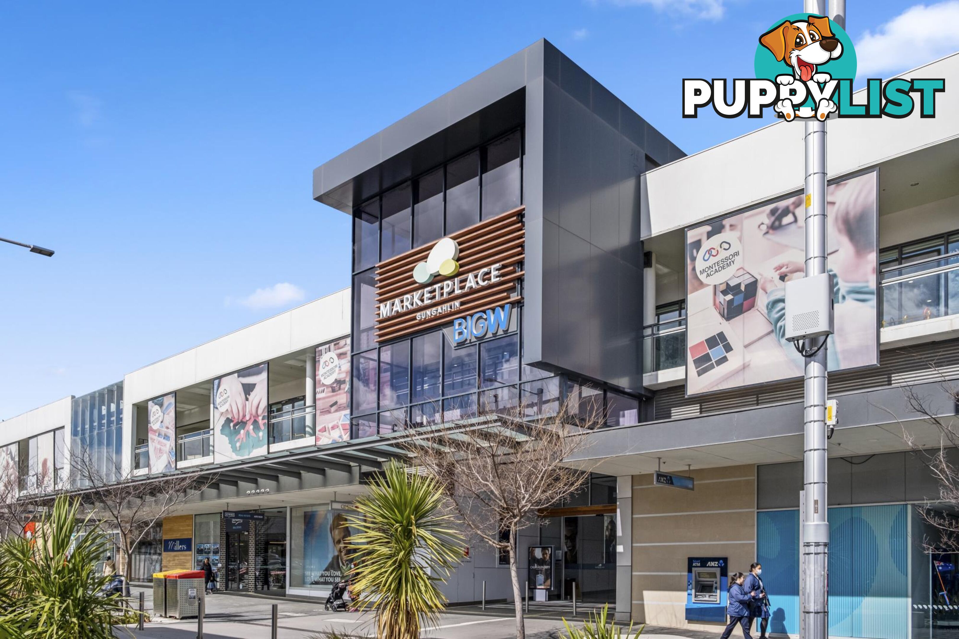 313/100 Swain Street GUNGAHLIN ACT 2912