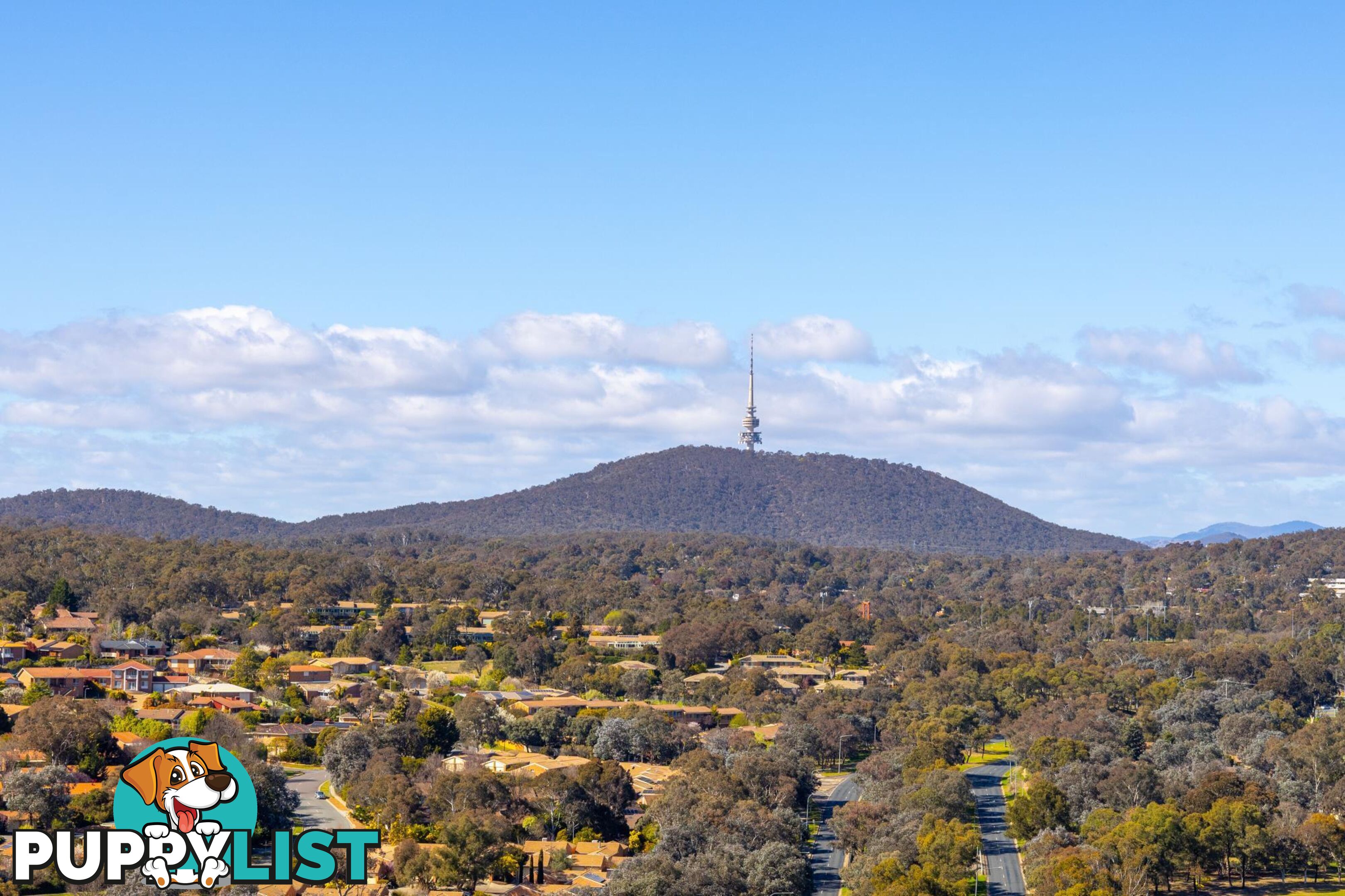 2009/3 Grazier Lane BELCONNEN ACT 2617