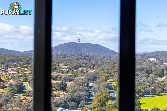 2009/3 Grazier Lane BELCONNEN ACT 2617