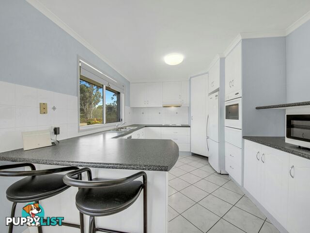 81 Bukkan Road GLEN EDEN QLD 4680