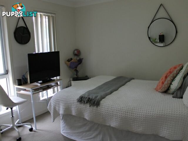 8 Brush Tail Court BOYNE ISLAND QLD 4680