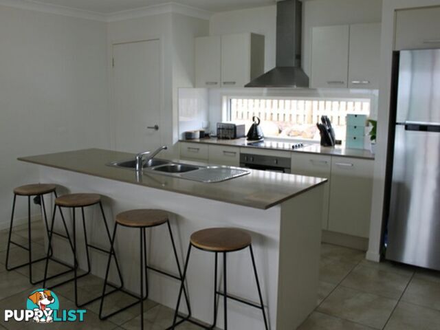 8 Brush Tail Court BOYNE ISLAND QLD 4680