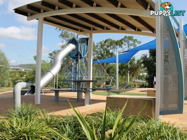 8 Brush Tail Court BOYNE ISLAND QLD 4680