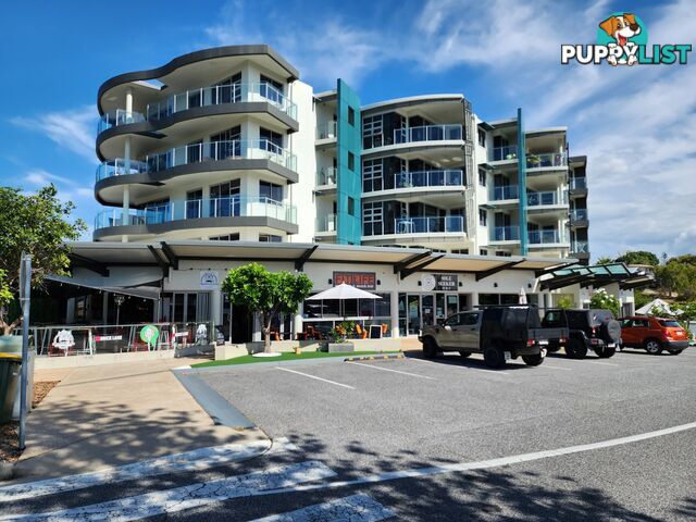 404/3 Pacific Avenue TANNUM SANDS QLD 4680