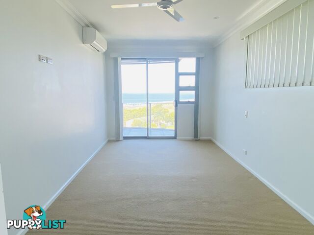 404/3 Pacific Avenue TANNUM SANDS QLD 4680