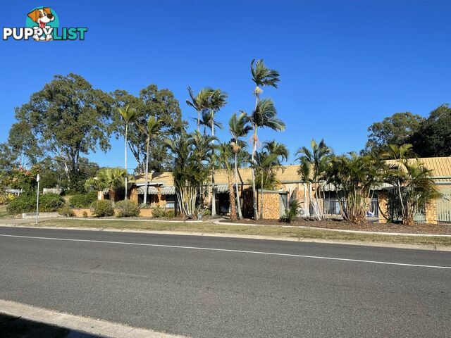 55 Wyndham Ave BOYNE ISLAND QLD 4680