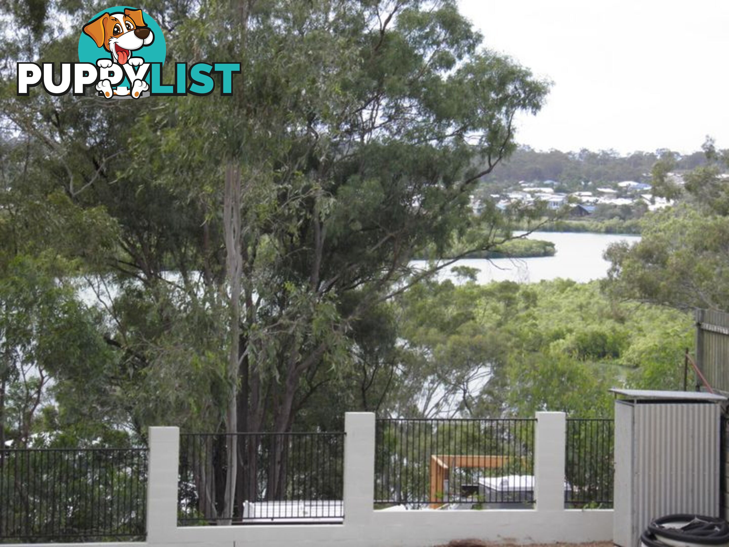 9 Alpine Avenue BOYNE ISLAND QLD 4680