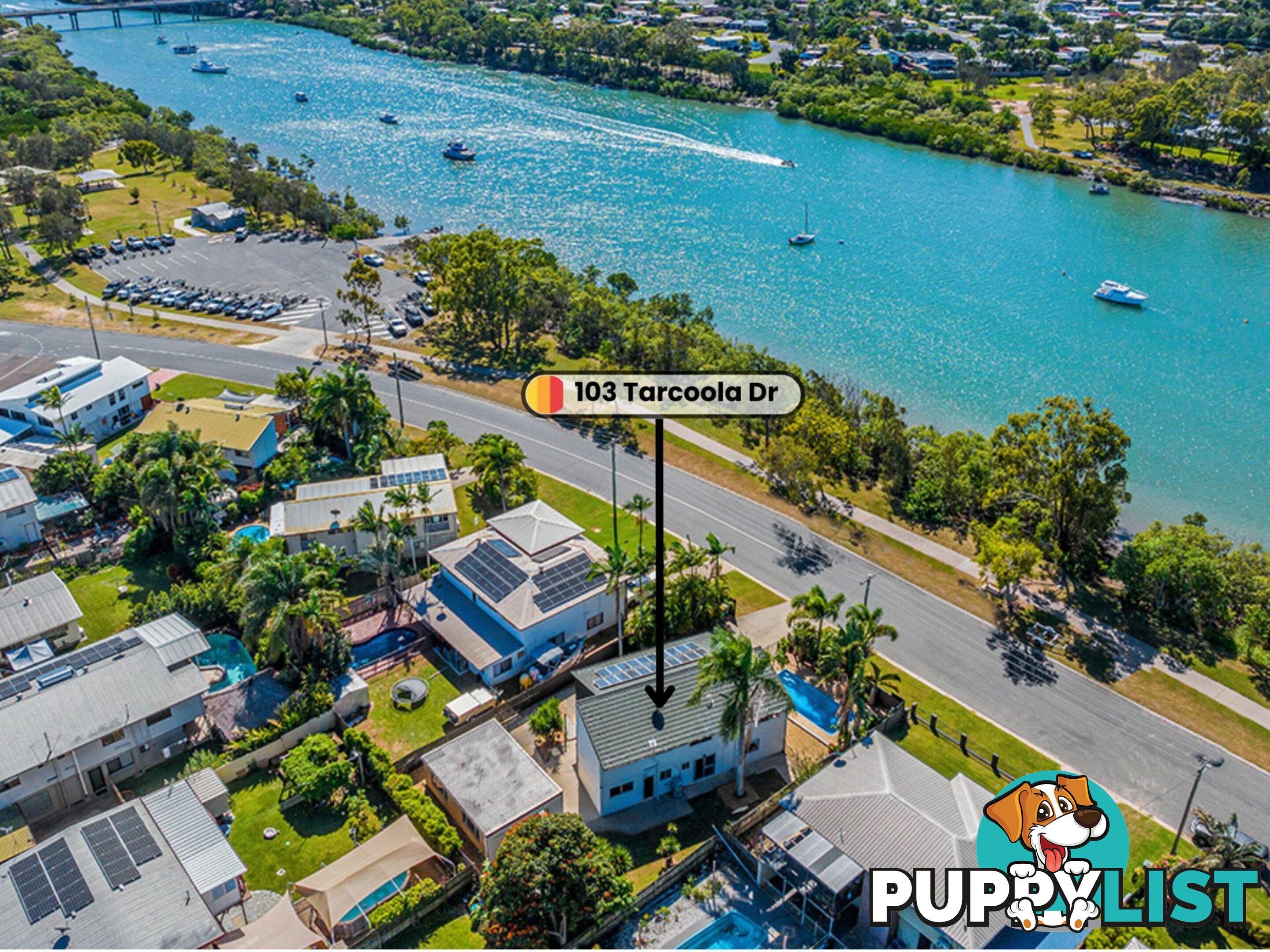 103 Tarcoola Drive BOYNE ISLAND QLD 4680