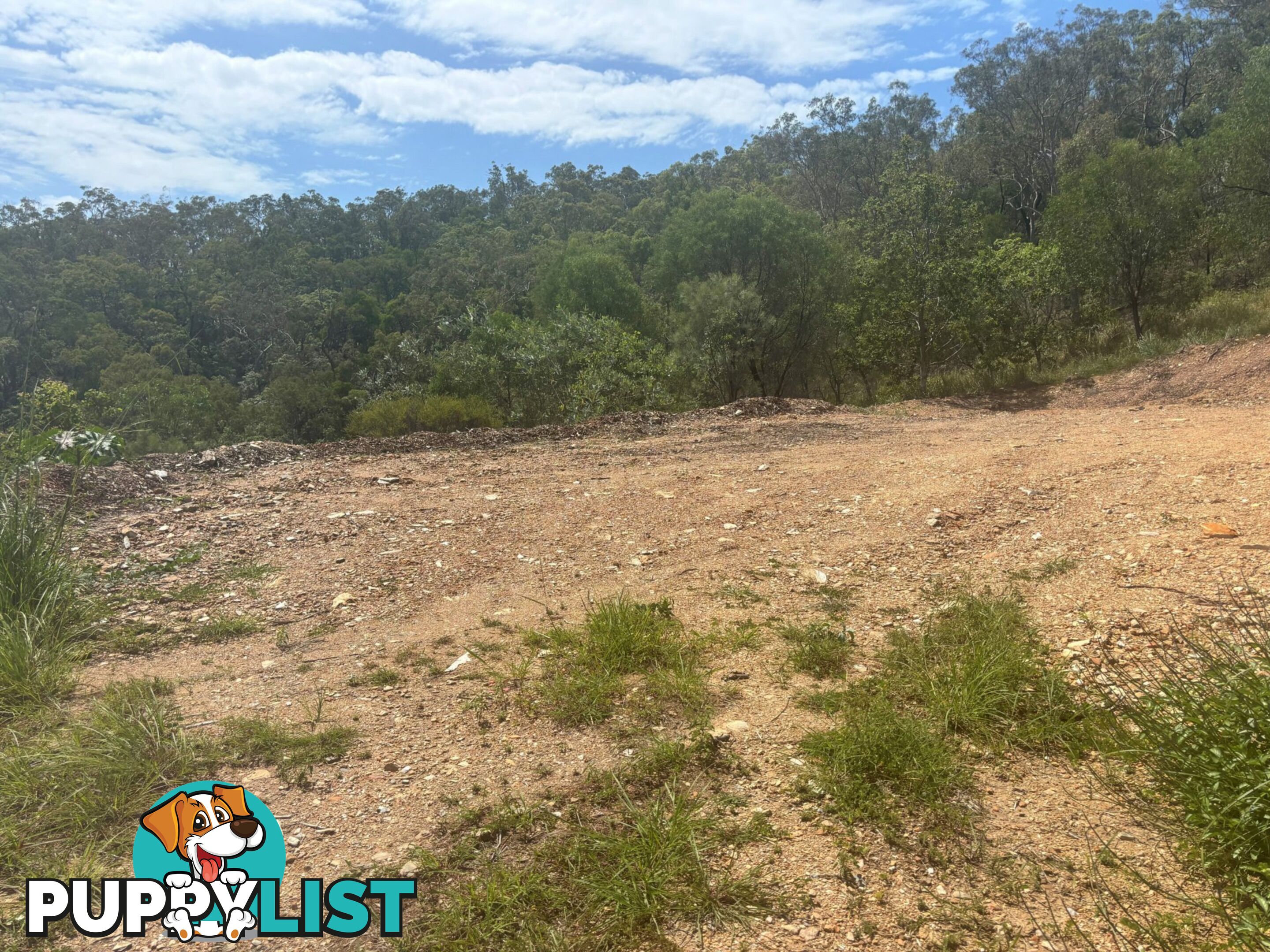 Lot 120 Wanda Drive BOYNE ISLAND QLD 4680