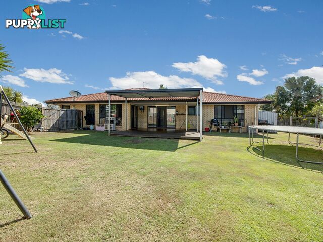 7 Kirkpatrick Court CALLIOPE QLD 4680