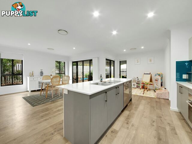 1 Tulipwood Circuit BOYNE ISLAND QLD 4680