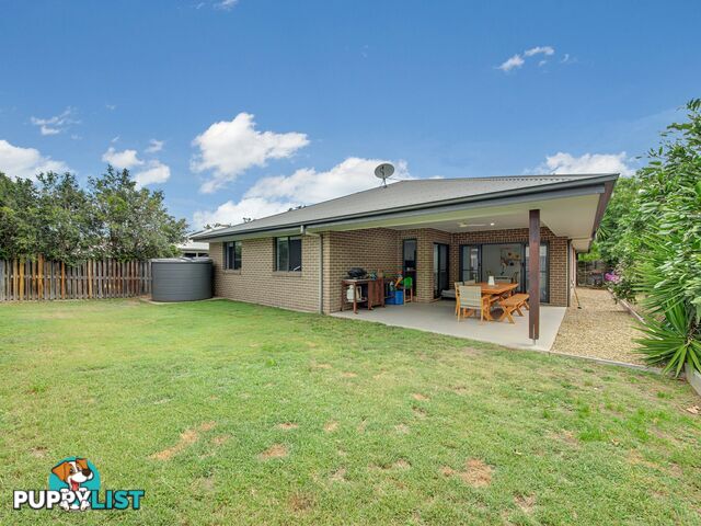 1 Tulipwood Circuit BOYNE ISLAND QLD 4680