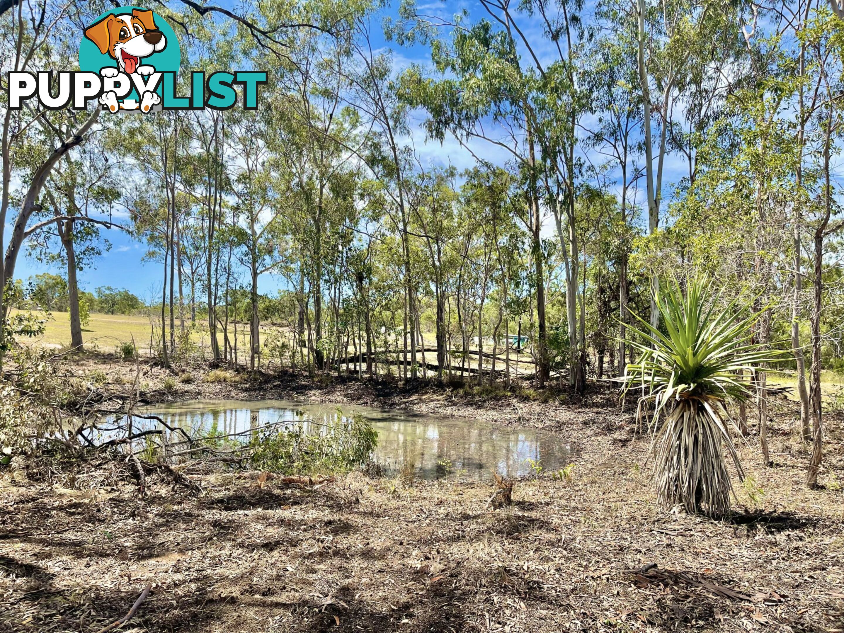 270 Bells Road RODDS BAY QLD 4678