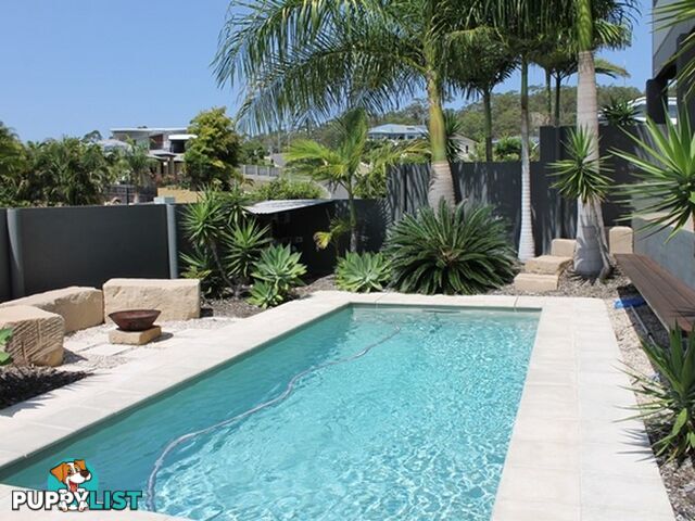 1 Caitlin Court BOYNE ISLAND QLD 4680