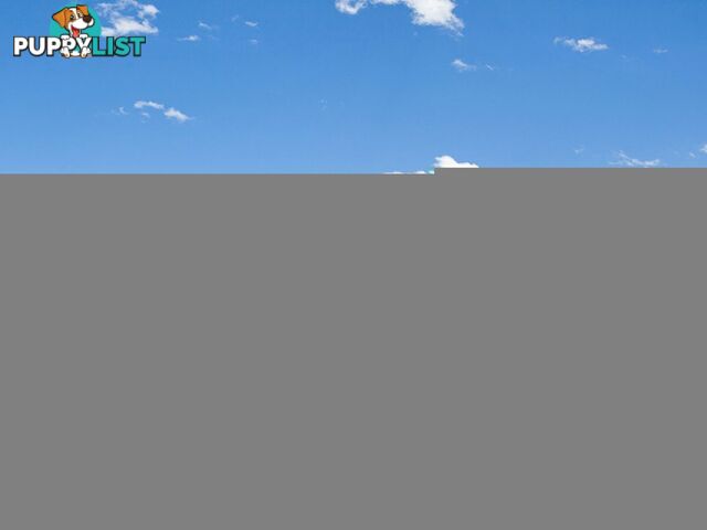 32 Koolivoo Parade BOYNE ISLAND QLD 4680