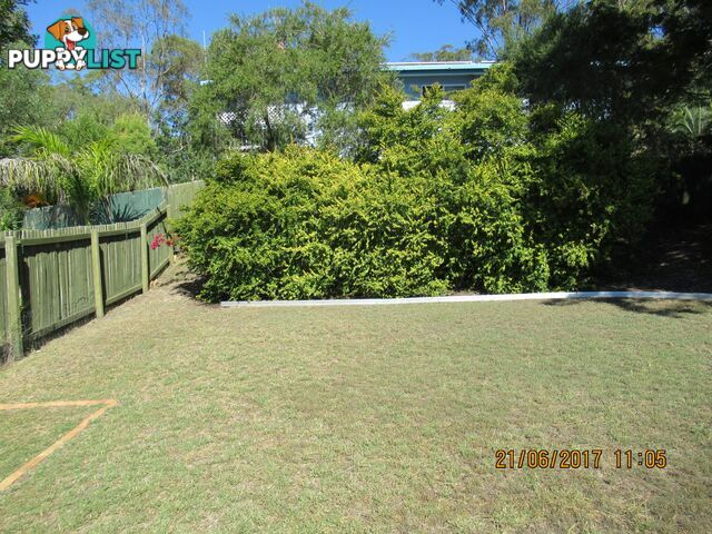36 SAYRE CRESCENT BOYNE ISLAND QLD 4680