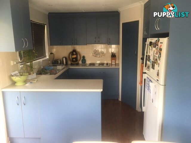 36 SAYRE CRESCENT BOYNE ISLAND QLD 4680