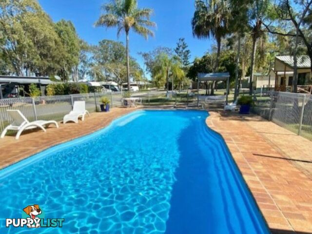 Site 69 1 Jacaranda Drive BOYNE ISLAND QLD 4680