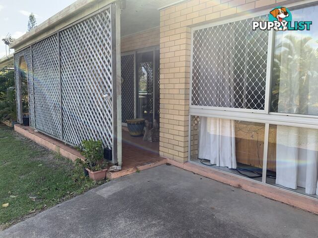 105 Malpas Street BOYNE ISLAND QLD 4680