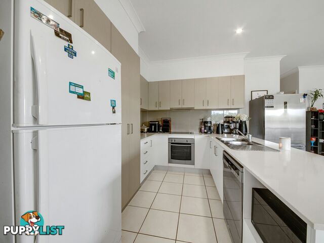 2 Bendee Street GLEN EDEN QLD 4680