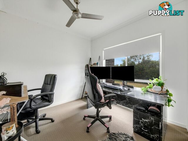 2 Bendee Street GLEN EDEN QLD 4680