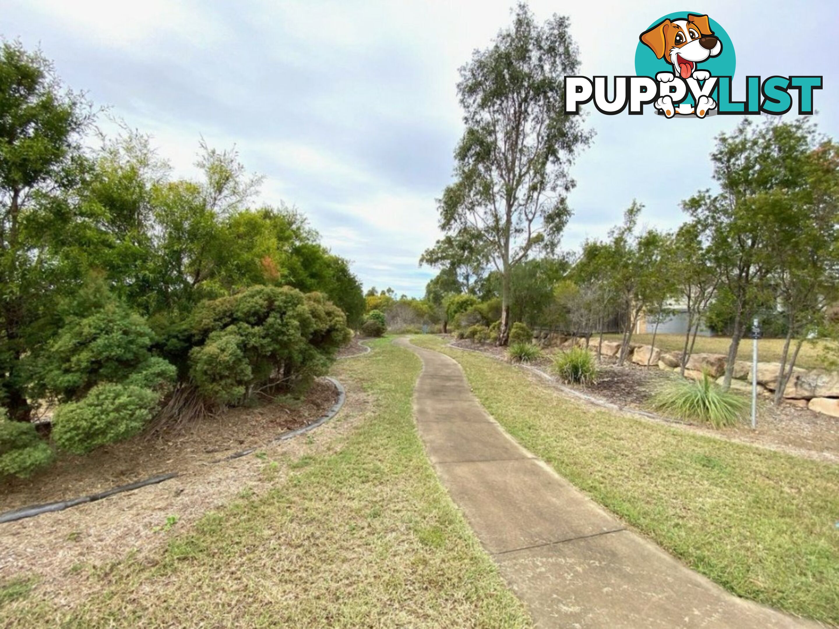 102 Broadacres Drive TANNUM SANDS QLD 4680
