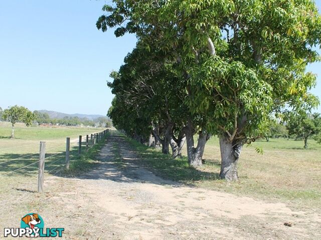 36 Tuckers Road BOYNE ISLAND QLD 4680