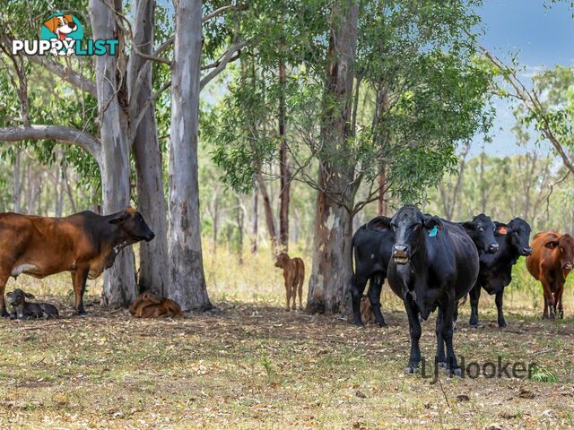 400 Wildman Road IVERAGH QLD 4680