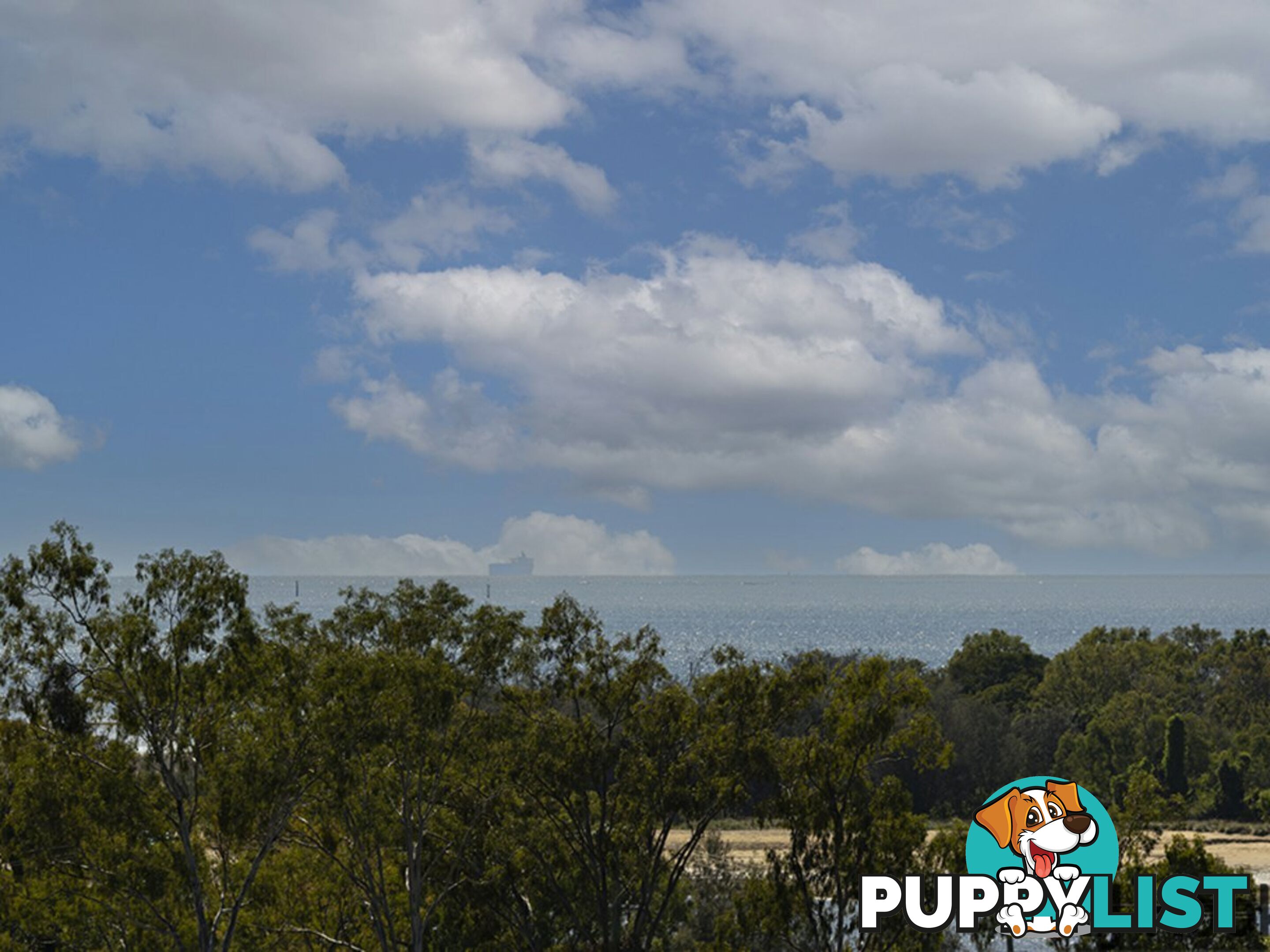 8 Jenny Lind Court BOYNE ISLAND QLD 4680