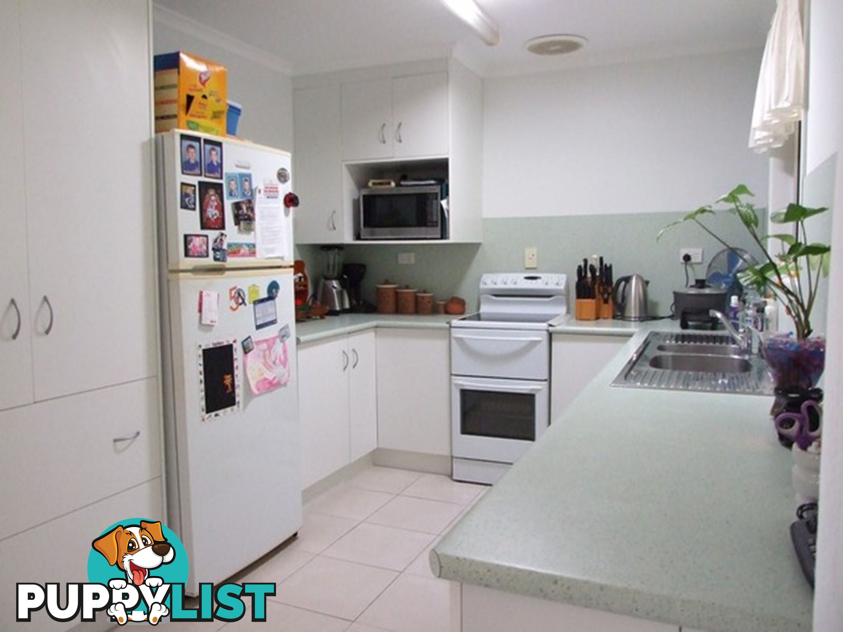 9 Douglas Street TANNUM SANDS QLD 4680