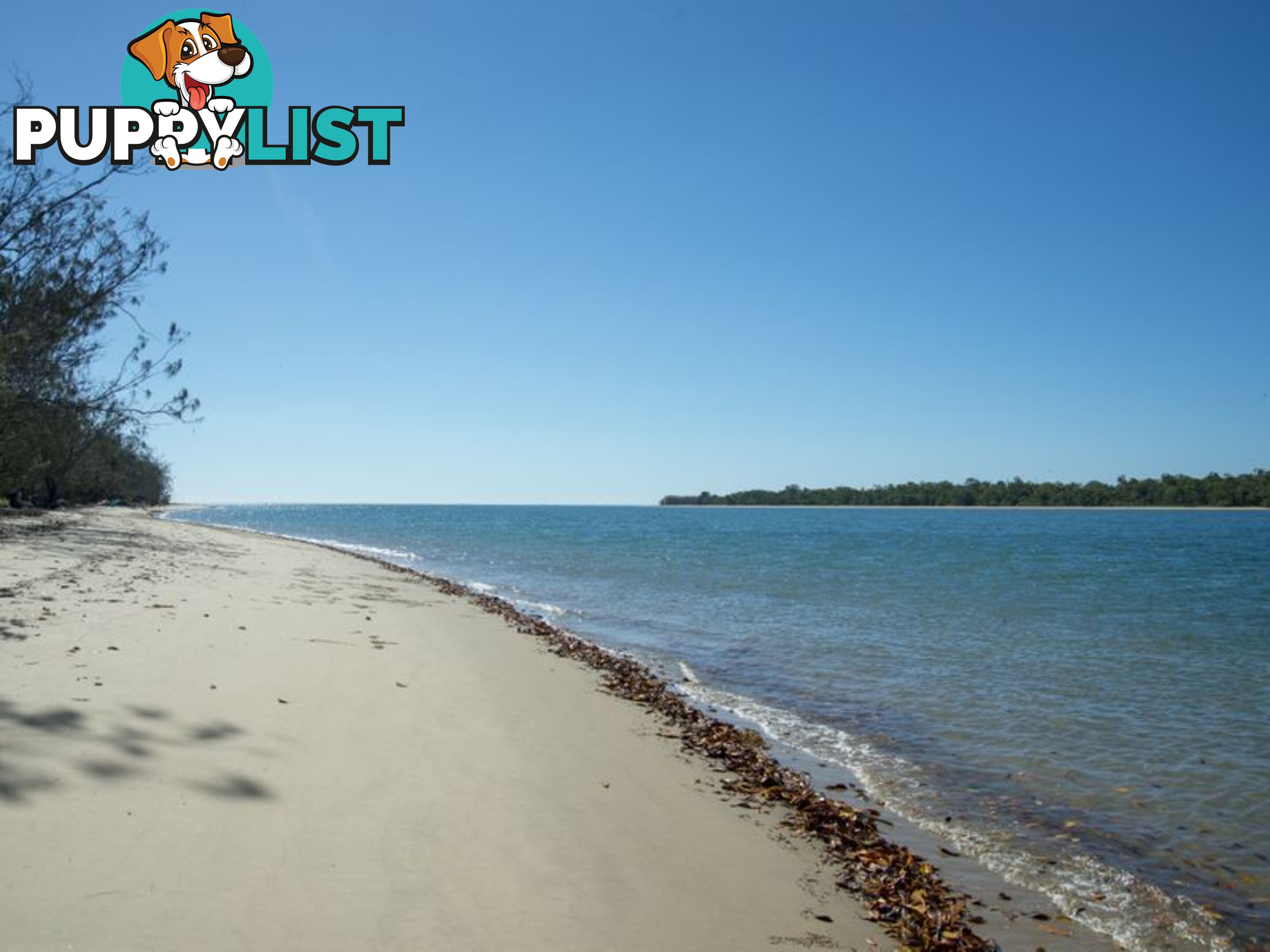 LOT 53 The Esplanade TANNUM SANDS QLD 4680