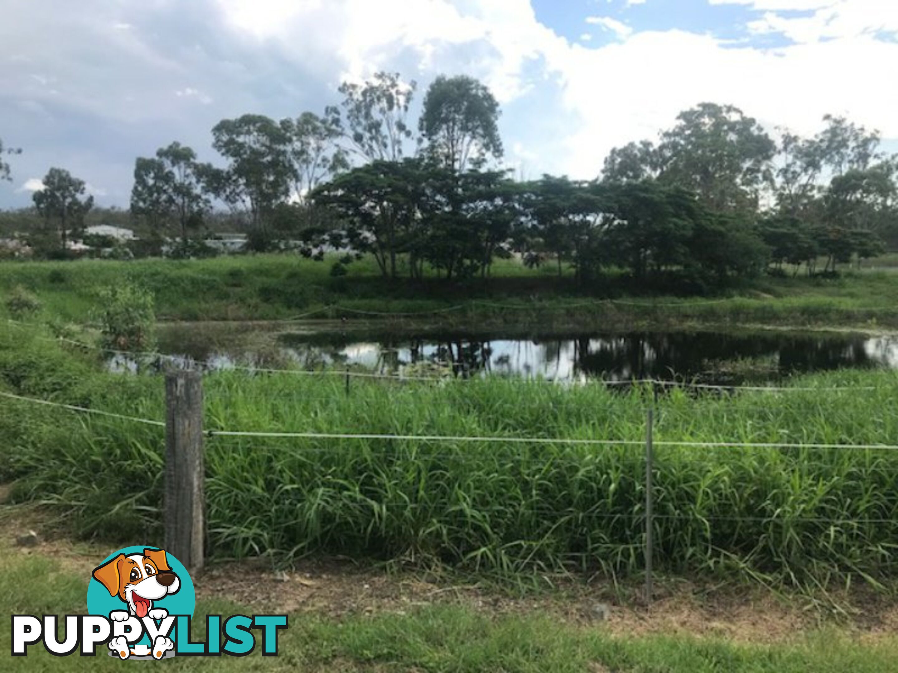 Lot 51 McPherson Road BOYNE ISLAND QLD 4680