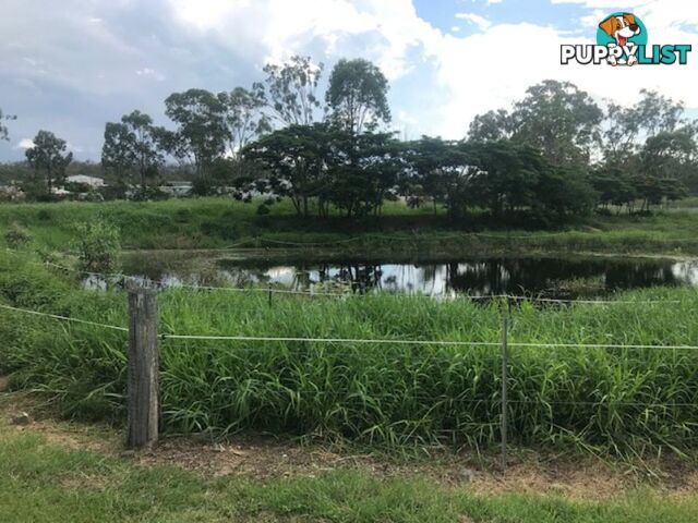 Lot 51 McPherson Road BOYNE ISLAND QLD 4680