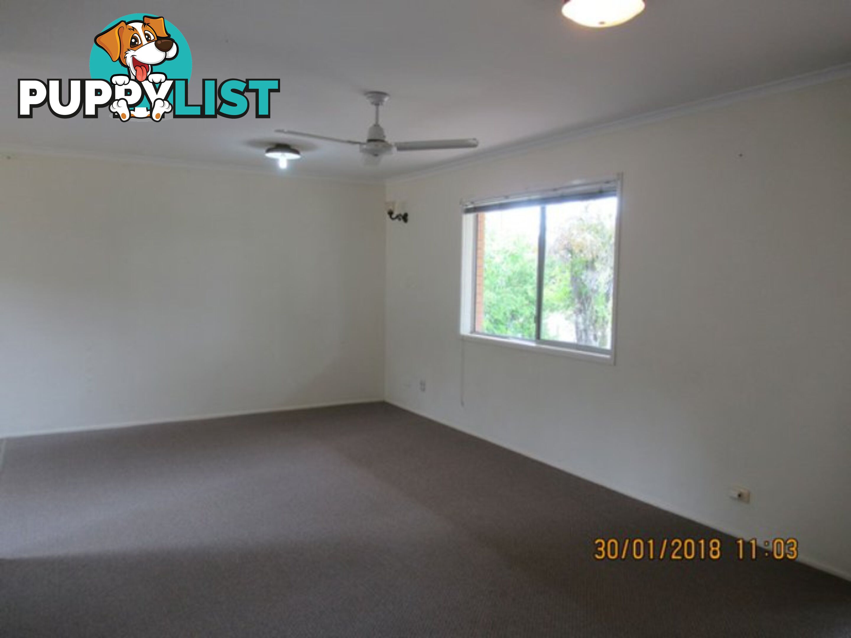 103 Malpas Street BOYNE ISLAND QLD 4680