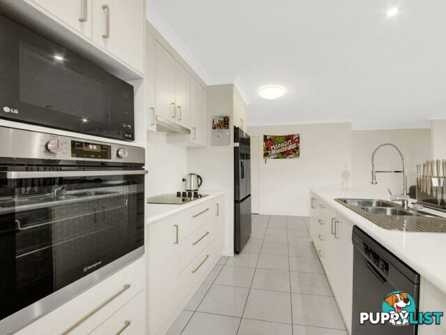 7 Surita Court BOYNE ISLAND QLD 4680