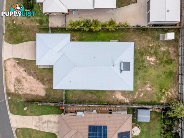 7 Surita Court BOYNE ISLAND QLD 4680