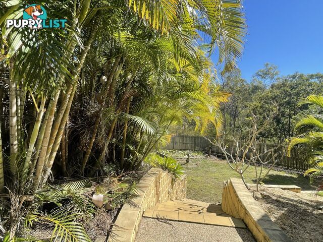 28 Forest Place SOUTH GLADSTONE QLD 4680