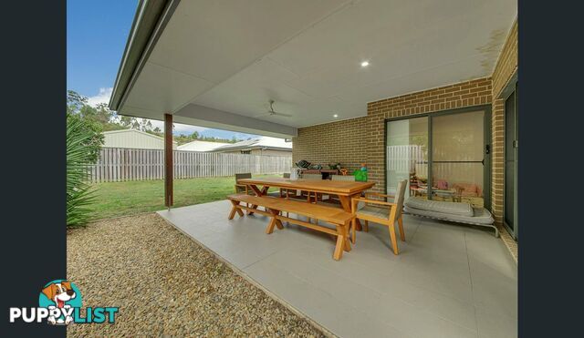 1 Tulipwood Cct BOYNE ISLAND QLD 4680