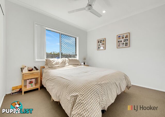 6 Wabby Street BOYNE ISLAND QLD 4680