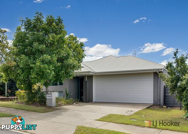 6 Wabby Street BOYNE ISLAND QLD 4680