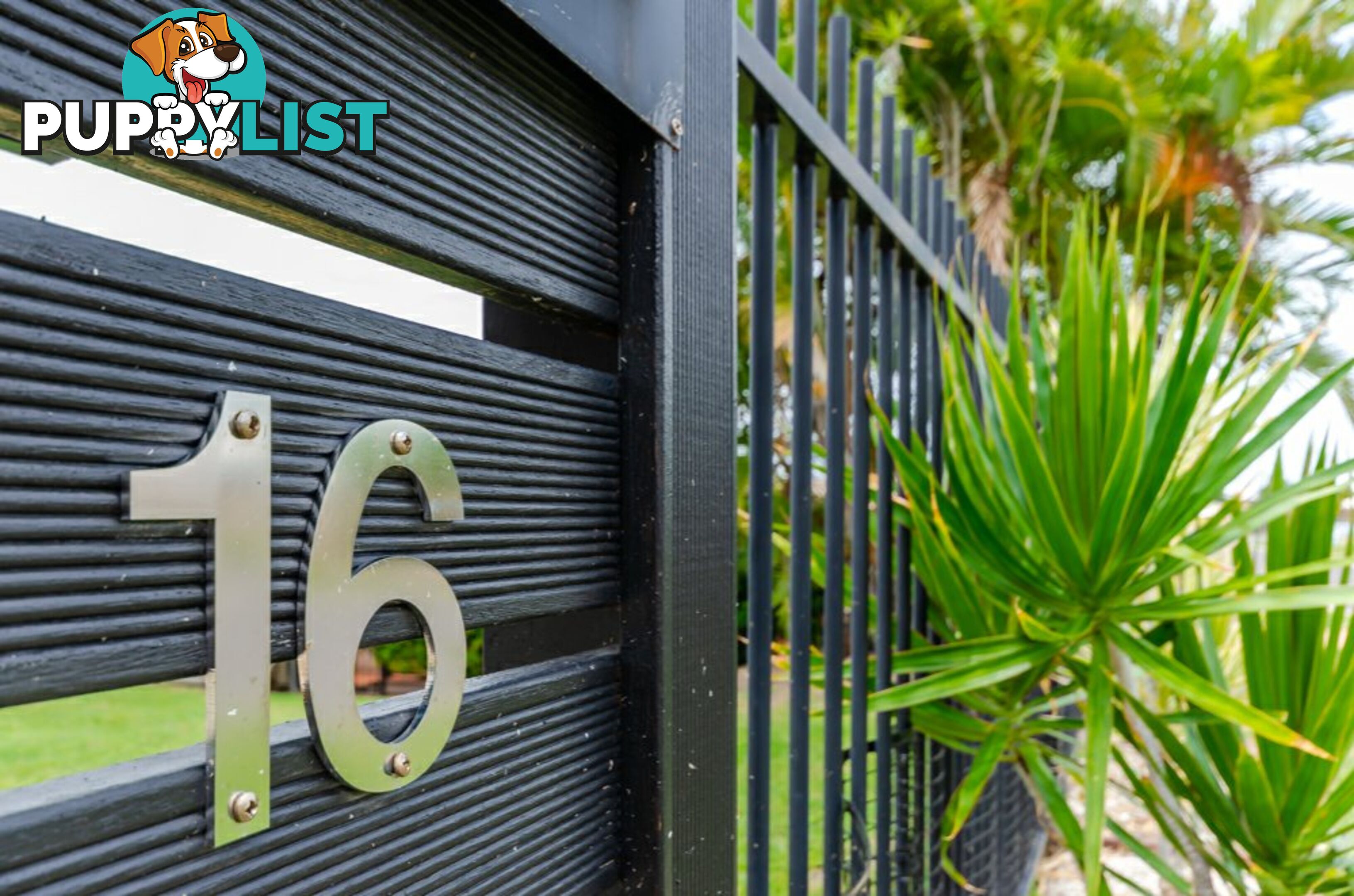 16 Tina Drive TANNUM SANDS QLD 4680