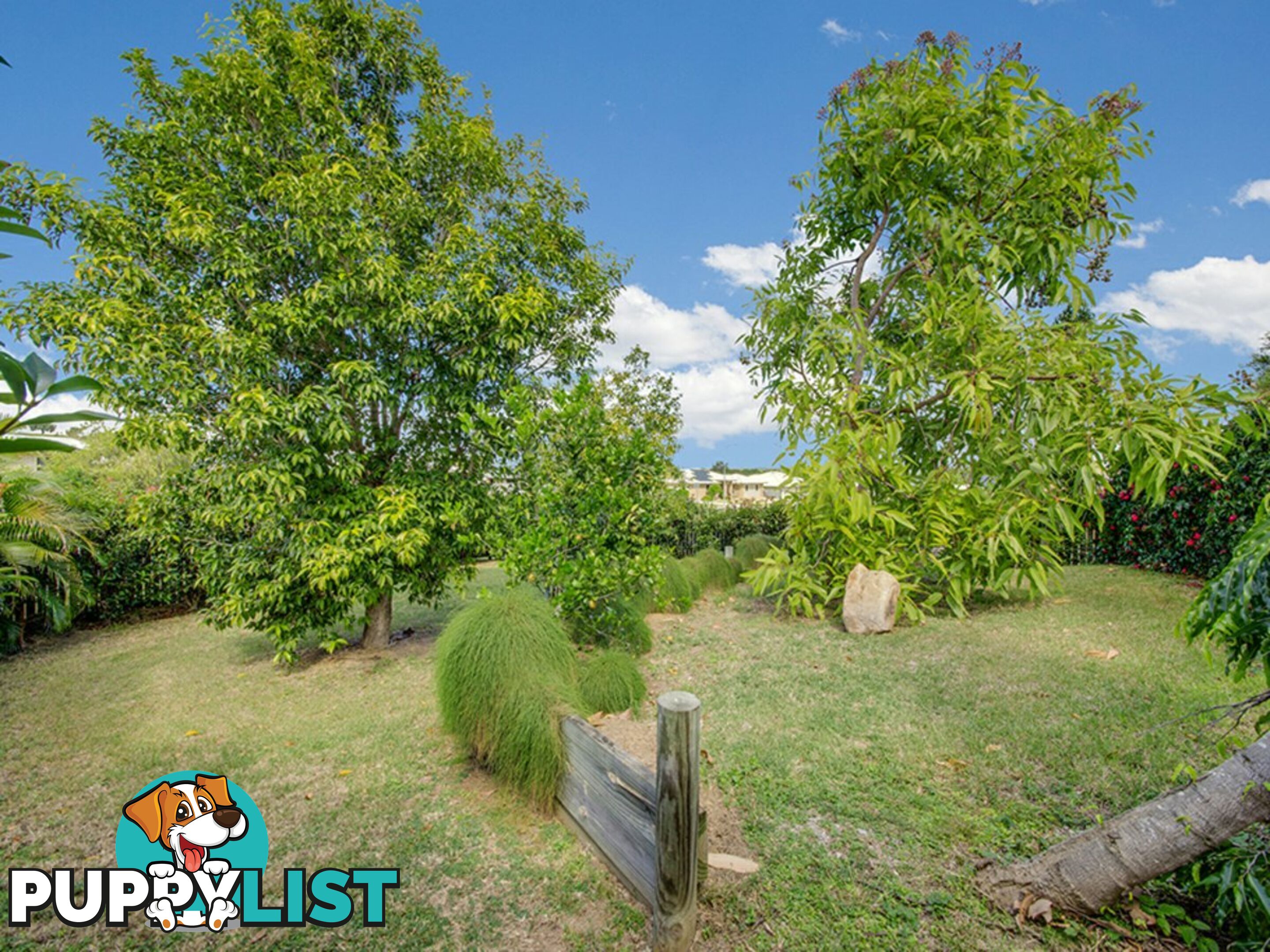 14 Trudy Avenue CALLIOPE QLD 4680
