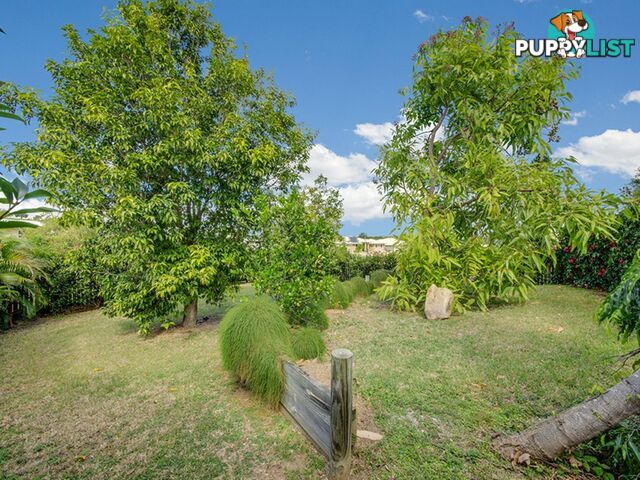 14 Trudy Avenue CALLIOPE QLD 4680